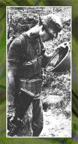 Recon Platoon Member