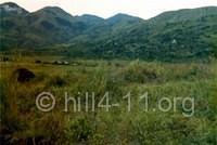 Pepper Ridge