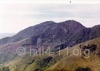 LZ South of Hill 4-11