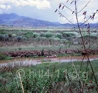John-Friess-Coastal-Plains-019