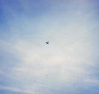 John-Friess-Support-Aircraft-006
