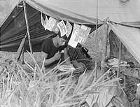 Christmas Truce in the Field