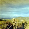 Leo James Broussard, Jr. - Pictures from Vietnam 1969