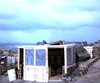 Cranes, Hootch, and Irma - January, 1970